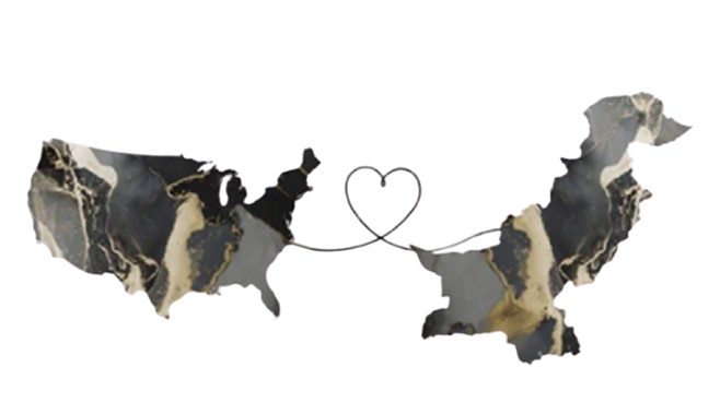 A marble-like design shaped like the continents of North and South America, connected by a heart-shaped line